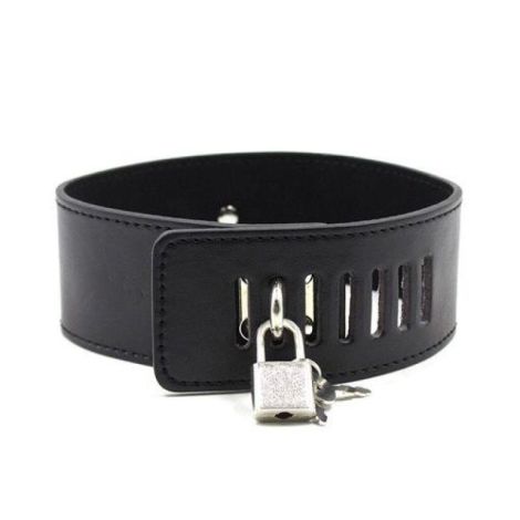 Collare con morsetti per capezzoli Leash nipple black - 2