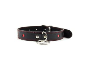 Easy Collar Leash black - image 2