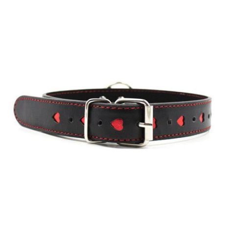 Easy Collar Leash black - 3