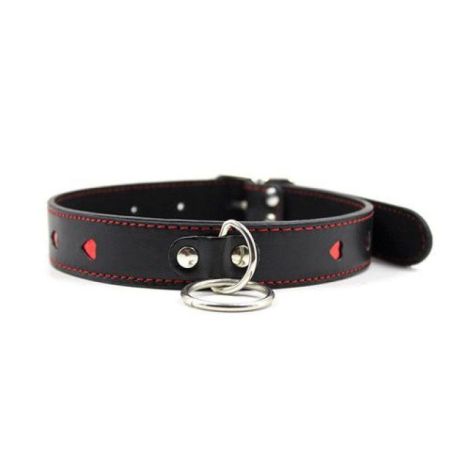 Easy Collar Leash black - 4