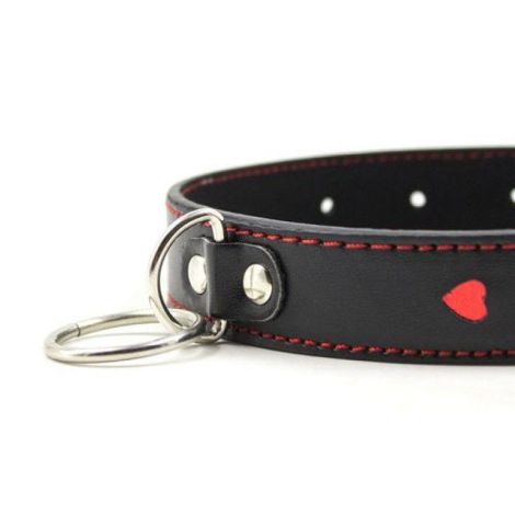 Easy Collar Leash black - 5