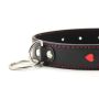 Easy Collar Leash black - 6