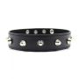 Wiązania-Collare Spikes Collar black - 2