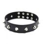 Wiązania-Collare Spikes Collar black - 3