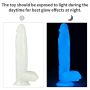 10'' Lumino Play Dildo - 11