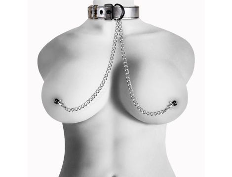 Metallic Silver Collar With Nipple Clamp - 3