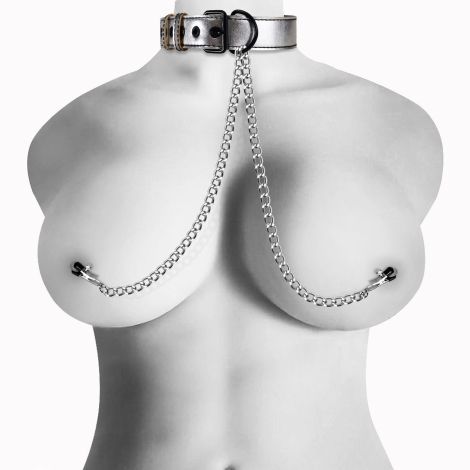 Metallic Silver Collar With Nipple Clamp - 3