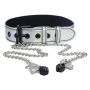 Metallic Silver Collar With Nipple Clamp - 2