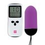 LoversPremium - Vibrating Egg Purple - 3