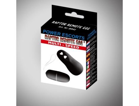 Raptor remote egg black remote egg