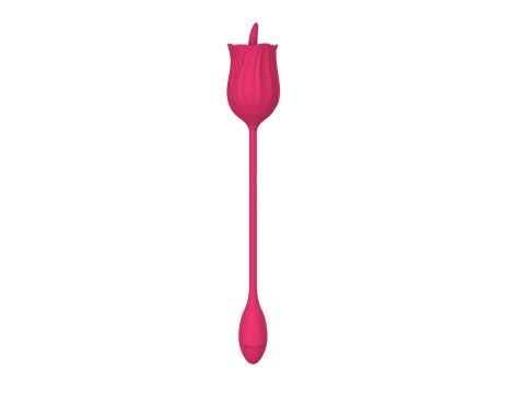 Stymulator - Licking massager with vibrating Egg USB 10 Functions - 2