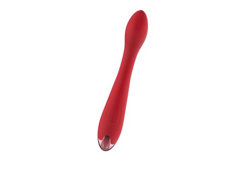 Wibrator - Rechargeable G Spot USB 10 Functions - 4