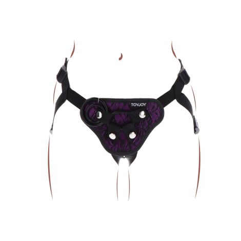 Strap-On Lace Harness Purple - 4