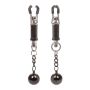 Weighted Twist Nipple Clamps Silver - 2