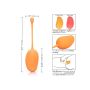 Kegel Training Set Mango Assortment - 7