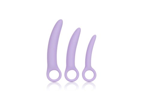 Alena Set of 3 Dilators Purple