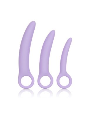 Alena Set of 3 Dilators Purple