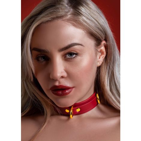 D-Ring Collar Deluxe Red - 3