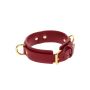 D-Ring Collar Deluxe Red - 5