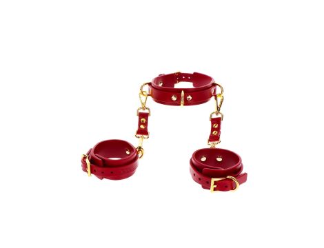 D-Ring Collar and Wrist Cuffs Red