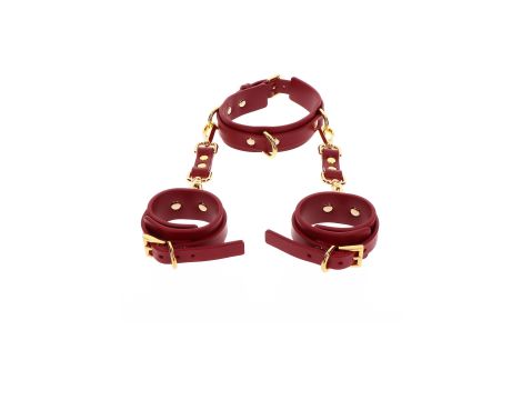 D-Ring Collar and Wrist Cuffs Red - 5