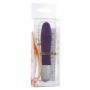 Discretion Probe Vibrator Purple - 3