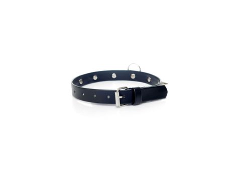 Fetish B - Series Collar with studs 2 cm - 3