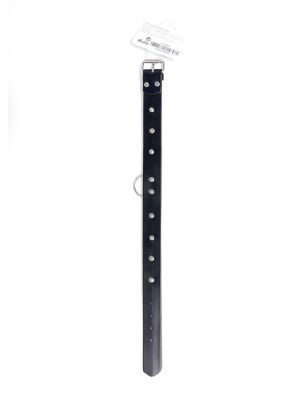 Fetish B - Series Collar with studs 3 cm - image 2