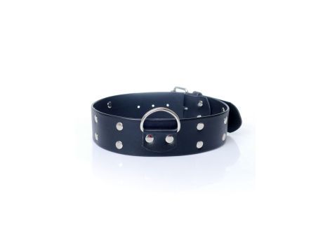 Fetish B - Series Collar with studs 4 cm