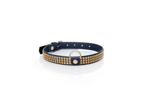 Fetish B - Series Collar with crystals 2 cm gold