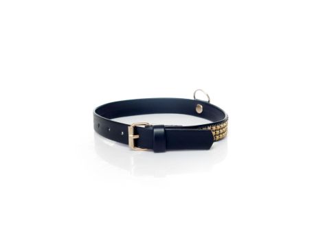 Fetish B - Series Collar with crystals 2 cm gold - 3