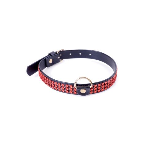 Fetish B - Series Collar with crystals 2 cm Red Line