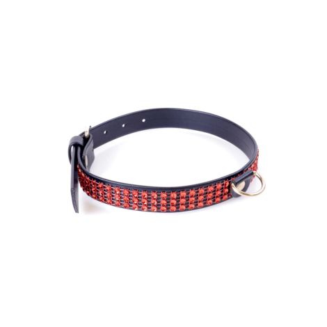 Fetish B - Series Collar with crystals 2 cm Red Line - 2