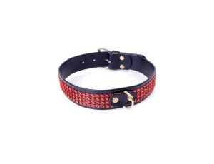 Fetish B - Series Collar with crystals 3 cm Red Line