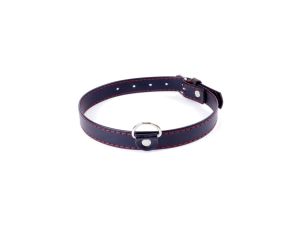 Fetish B -  Series Collar  2cm Red Line