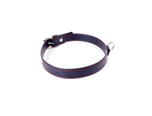 Fetish B -  Series Collar  2cm Red Line - image 2