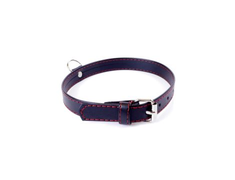 Fetish B -  Series Collar  2cm Red Line - 3