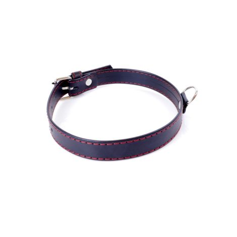 Fetish B -  Series Collar  2cm Red Line - 2