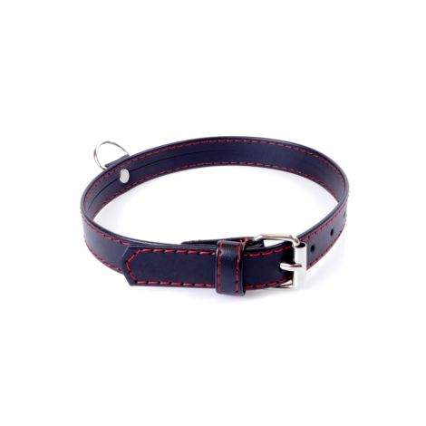 Fetish B -  Series Collar  2cm Red Line - 3