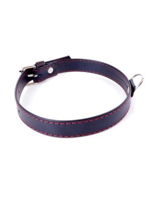 Fetish B -  Series Collar  2cm Red Line - image 2