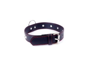 Fetish B - Series Collar with studs 3 cm Red Line - image 2