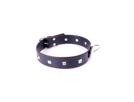 Fetish B - Series Collar with studs 3 cm Red Line - 3