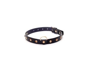 Fetish B - Series - Collar 2 cm gold crystal