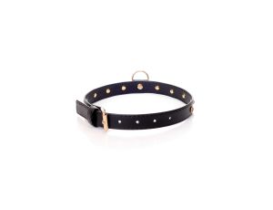 Fetish B - Series - Collar 2 cm gold crystal - image 2