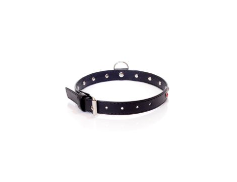 Fetish B - Series Collar - 2 cm. red crystal - 2