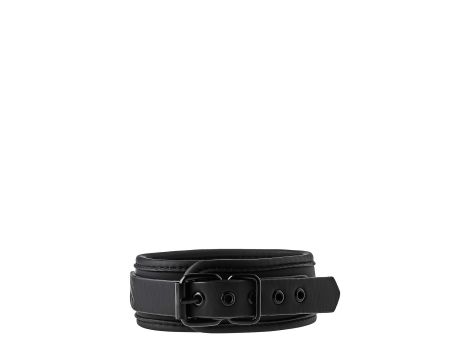 BLAZE COLLAR AND LEASH BLACK - 4