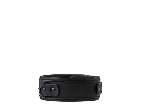 BLAZE COLLAR AND LEASH BLACK - 5