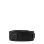 BLAZE COLLAR AND LEASH BLACK - 6