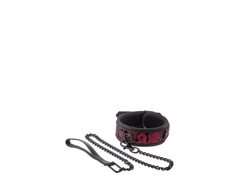 BLAZE DELUXE COLLAR & LEASH - 3