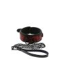 BLAZE DELUXE COLLAR & LEASH - 3